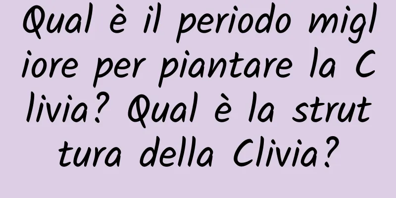 Qual è il periodo migliore per piantare la Clivia? Qual è la struttura della Clivia?