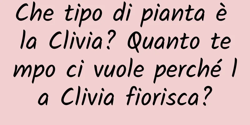 Che tipo di pianta è la Clivia? Quanto tempo ci vuole perché la Clivia fiorisca?