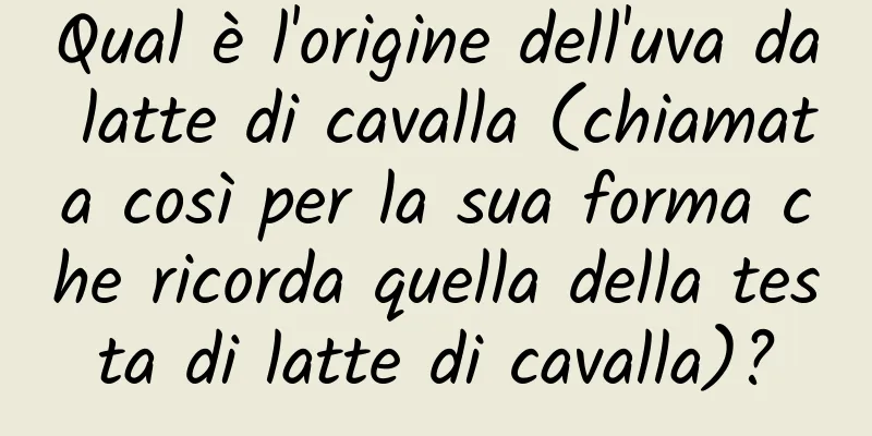 Qual è l'origine dell'uva da latte di cavalla (chiamata così per la sua forma che ricorda quella della testa di latte di cavalla)?