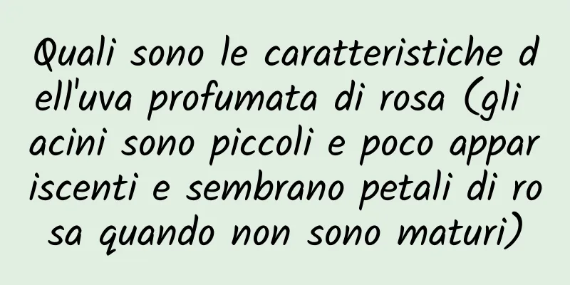 Quali sono le caratteristiche dell'uva profumata di rosa (gli acini sono piccoli e poco appariscenti e sembrano petali di rosa quando non sono maturi)