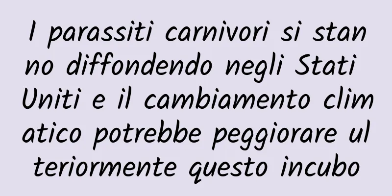 I parassiti carnivori si stanno diffondendo negli Stati Uniti e il cambiamento climatico potrebbe peggiorare ulteriormente questo incubo