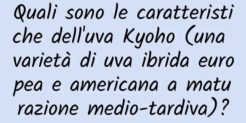 Quali sono le caratteristiche dell'uva Kyoho (una varietà di uva ibrida europea e americana a maturazione medio-tardiva)?