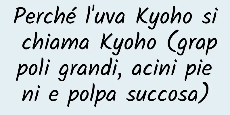 Perché l'uva Kyoho si chiama Kyoho (grappoli grandi, acini pieni e polpa succosa)