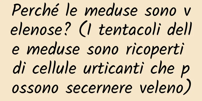 Perché le meduse sono velenose? (I tentacoli delle meduse sono ricoperti di cellule urticanti che possono secernere veleno)