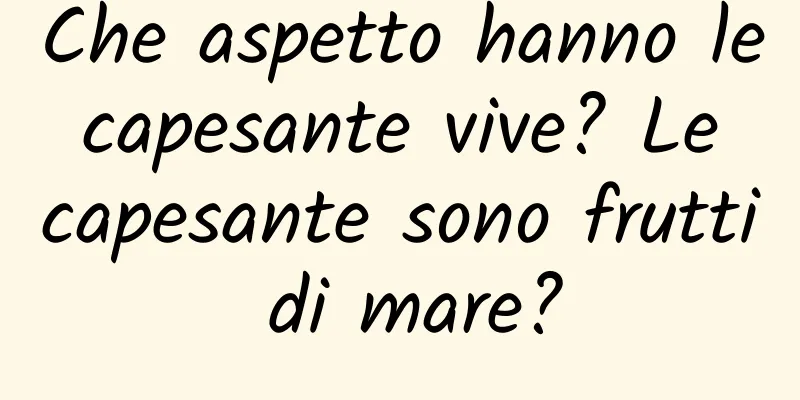 Che aspetto hanno le capesante vive? Le capesante sono frutti di mare?