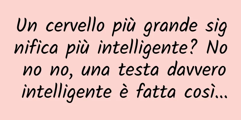 Un cervello più grande significa più intelligente? No no no, una testa davvero intelligente è fatta così...