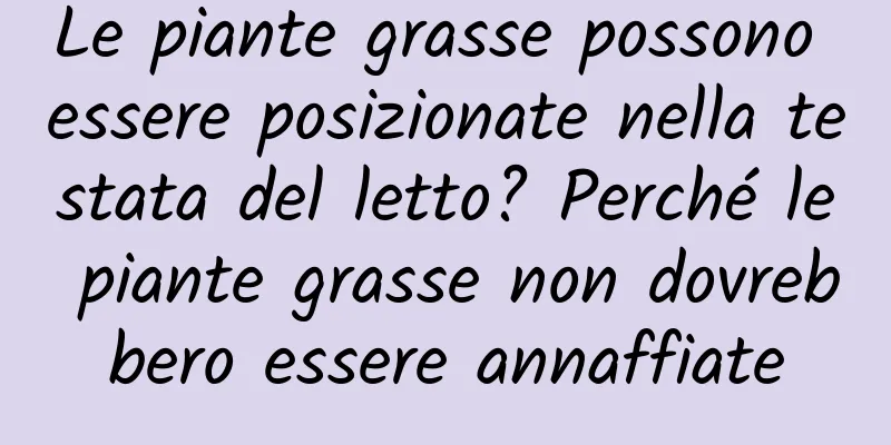 Le piante grasse possono essere posizionate nella testata del letto? Perché le piante grasse non dovrebbero essere annaffiate