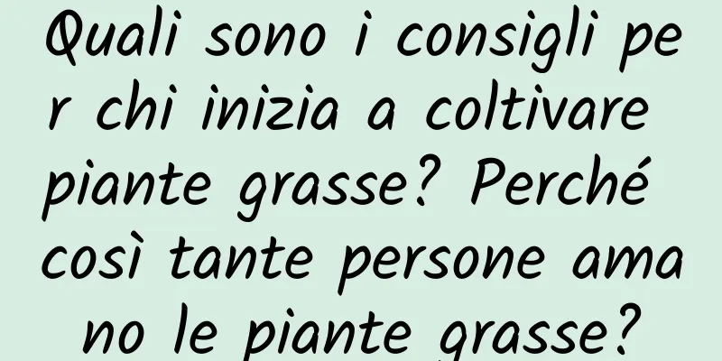 Quali sono i consigli per chi inizia a coltivare piante grasse? Perché così tante persone amano le piante grasse?