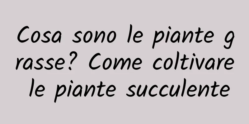 Cosa sono le piante grasse? Come coltivare le piante succulente