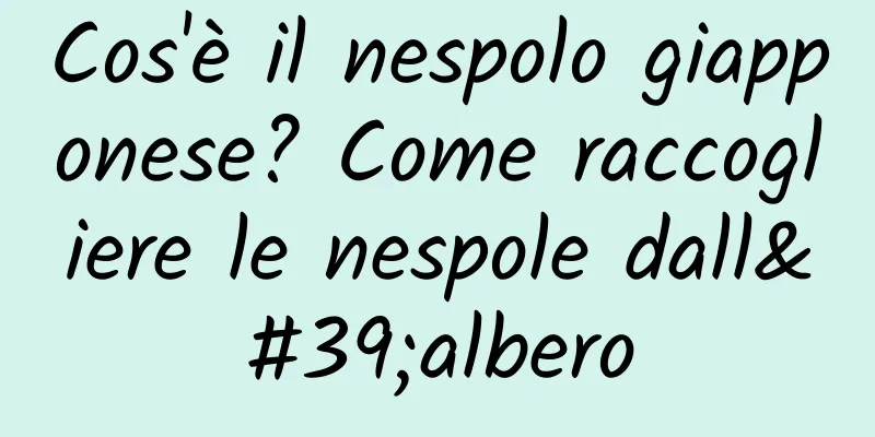 Cos'è il nespolo giapponese? Come raccogliere le nespole dall'albero