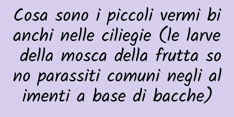 Cosa sono i piccoli vermi bianchi nelle ciliegie (le larve della mosca della frutta sono parassiti comuni negli alimenti a base di bacche)