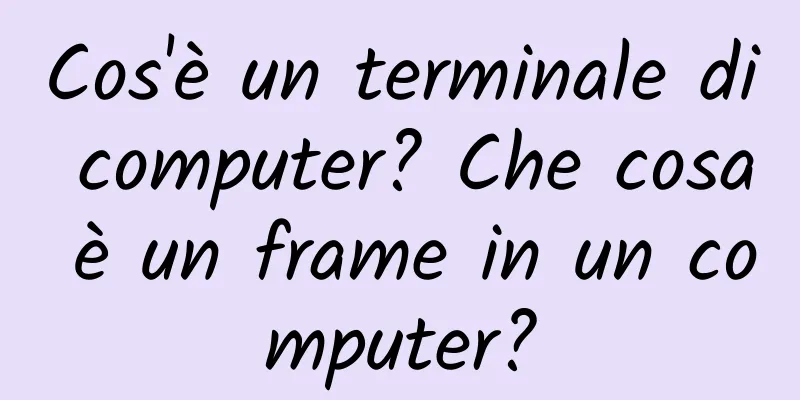 Cos'è un terminale di computer? Che cosa è un frame in un computer?
