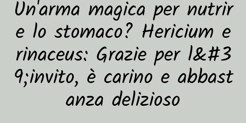Un'arma magica per nutrire lo stomaco? Hericium erinaceus: Grazie per l'invito, è carino e abbastanza delizioso