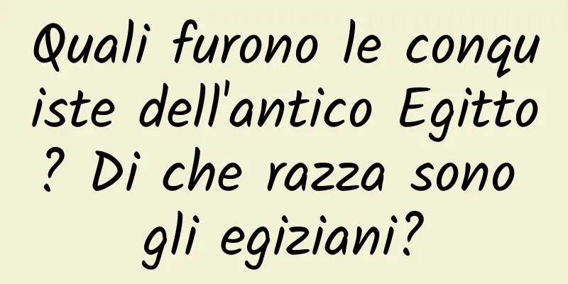 Quali furono le conquiste dell'antico Egitto? Di che razza sono gli egiziani?