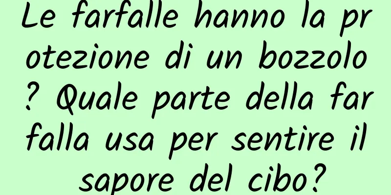 Le farfalle hanno la protezione di un bozzolo? Quale parte della farfalla usa per sentire il sapore del cibo?