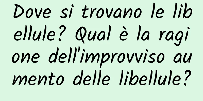 Dove si trovano le libellule? Qual è la ragione dell'improvviso aumento delle libellule?