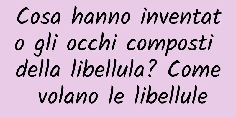 Cosa hanno inventato gli occhi composti della libellula? Come volano le libellule