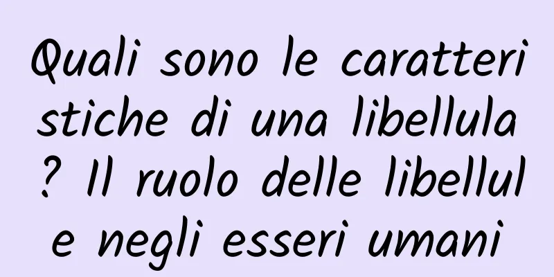 Quali sono le caratteristiche di una libellula? Il ruolo delle libellule negli esseri umani