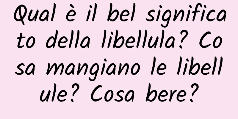 Qual è il bel significato della libellula? Cosa mangiano le libellule? Cosa bere?