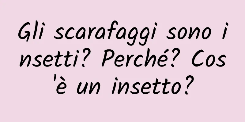 Gli scarafaggi sono insetti? Perché? Cos'è un insetto?