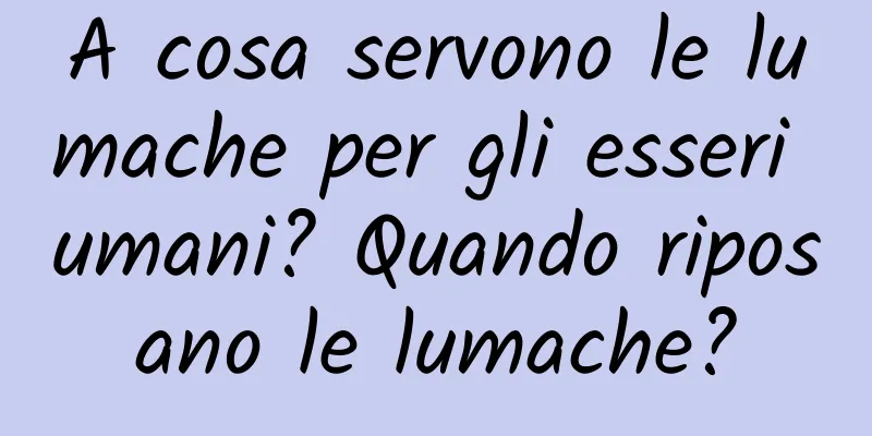A cosa servono le lumache per gli esseri umani? Quando riposano le lumache?