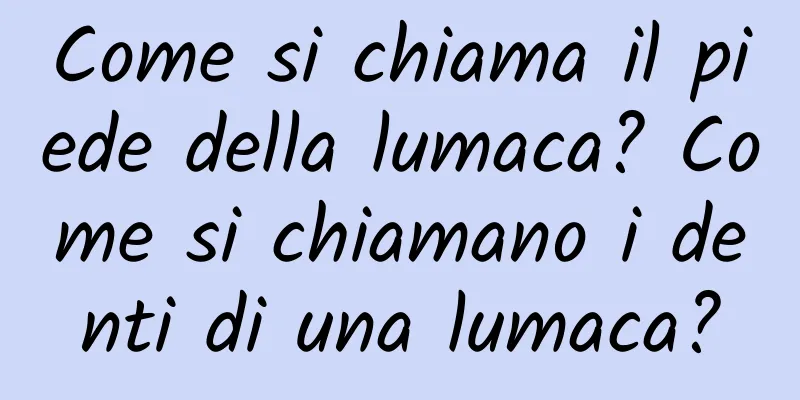 Come si chiama il piede della lumaca? Come si chiamano i denti di una lumaca?