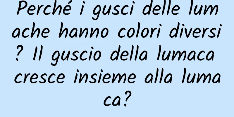 Perché i gusci delle lumache hanno colori diversi? Il guscio della lumaca cresce insieme alla lumaca?