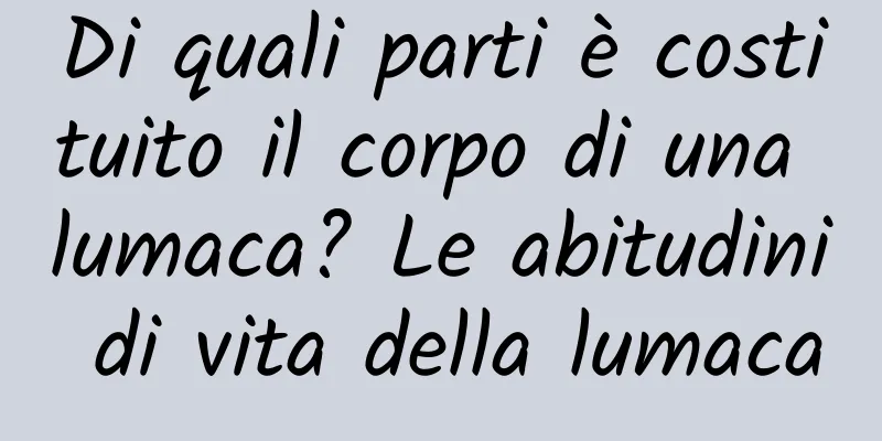 Di quali parti è costituito il corpo di una lumaca? Le abitudini di vita della lumaca