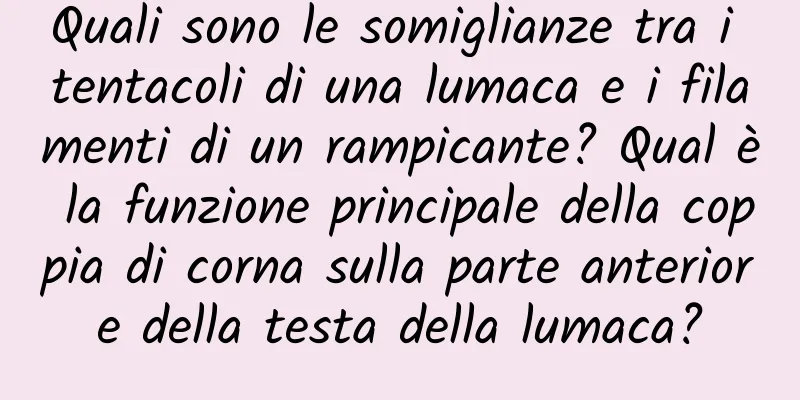 Quali sono le somiglianze tra i tentacoli di una lumaca e i filamenti di un rampicante? Qual è la funzione principale della coppia di corna sulla parte anteriore della testa della lumaca?