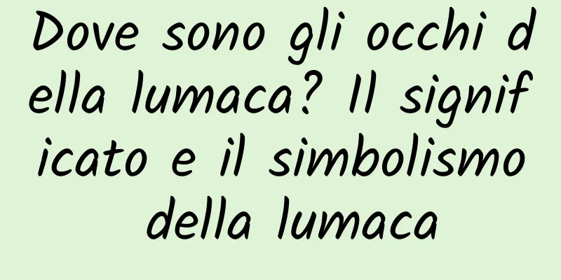 Dove sono gli occhi della lumaca? Il significato e il simbolismo della lumaca