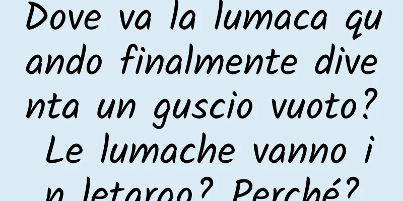 Dove va la lumaca quando finalmente diventa un guscio vuoto? Le lumache vanno in letargo? Perché?