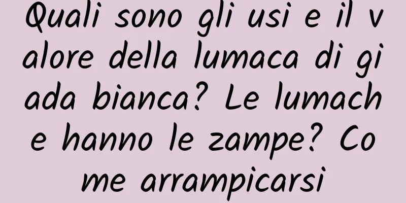 Quali sono gli usi e il valore della lumaca di giada bianca? Le lumache hanno le zampe? Come arrampicarsi