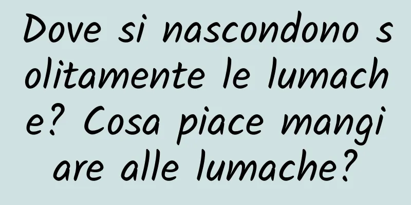 Dove si nascondono solitamente le lumache? Cosa piace mangiare alle lumache?