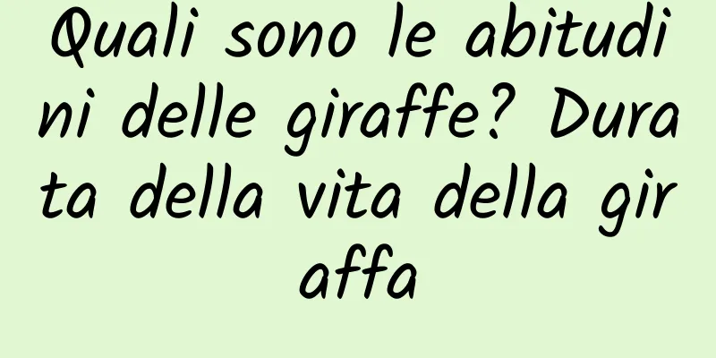 Quali sono le abitudini delle giraffe? Durata della vita della giraffa