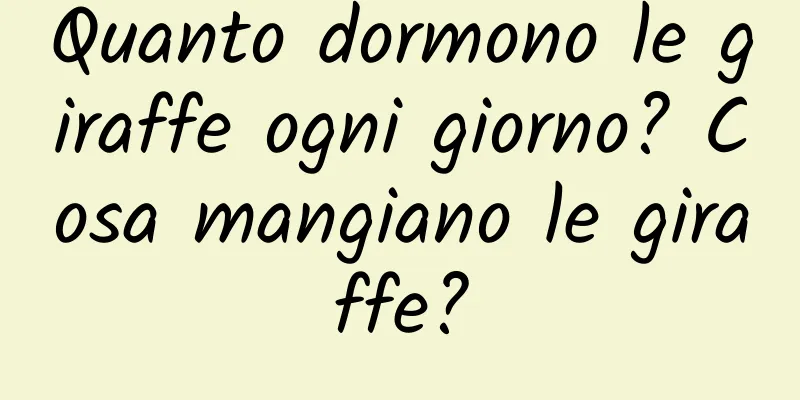Quanto dormono le giraffe ogni giorno? Cosa mangiano le giraffe?