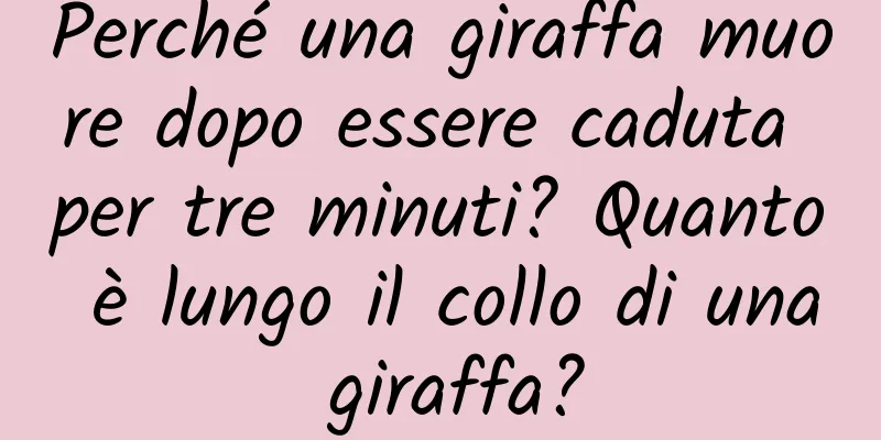 Perché una giraffa muore dopo essere caduta per tre minuti? Quanto è lungo il collo di una giraffa?