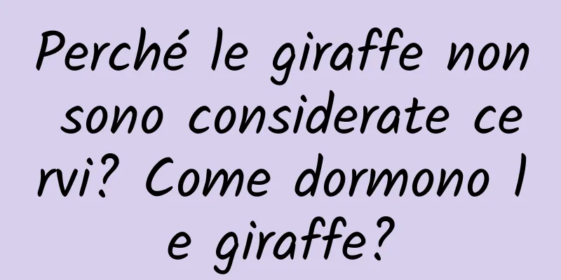 Perché le giraffe non sono considerate cervi? Come dormono le giraffe?