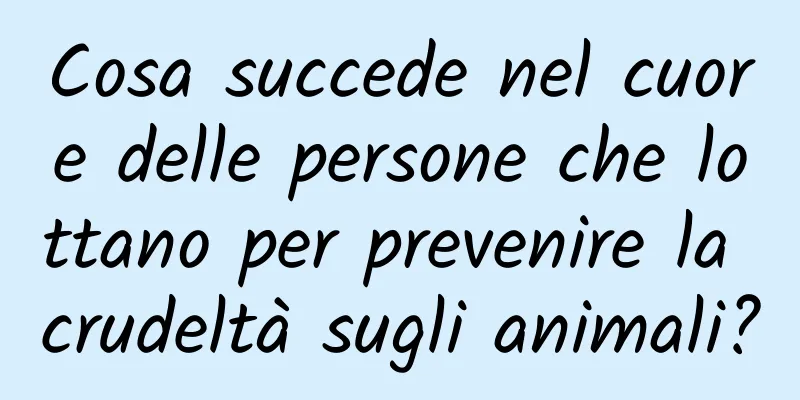 Cosa succede nel cuore delle persone che lottano per prevenire la crudeltà sugli animali?