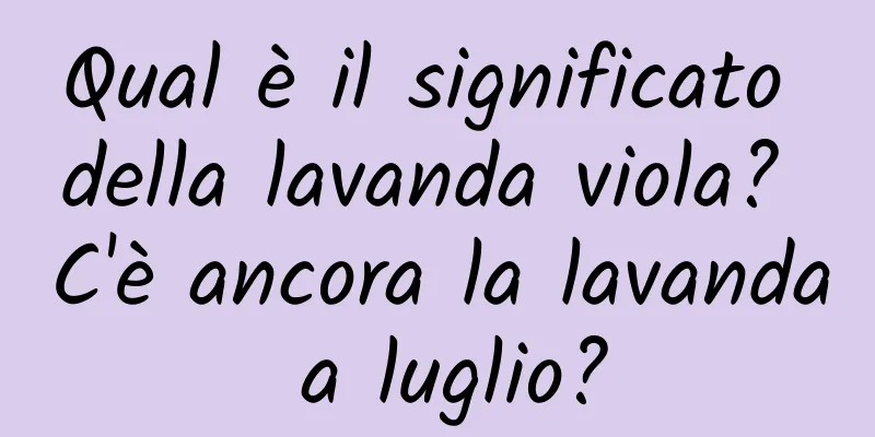 Qual è il significato della lavanda viola? C'è ancora la lavanda a luglio?