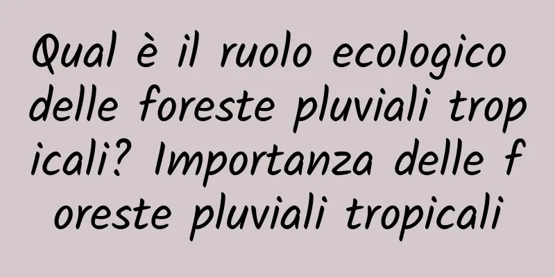 Qual è il ruolo ecologico delle foreste pluviali tropicali? Importanza delle foreste pluviali tropicali