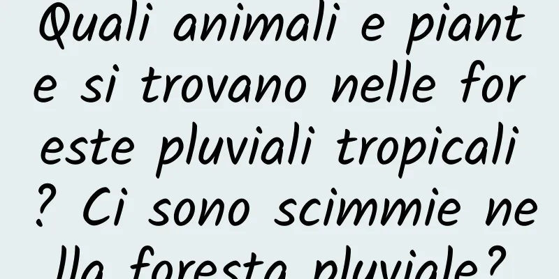 Quali animali e piante si trovano nelle foreste pluviali tropicali? Ci sono scimmie nella foresta pluviale?