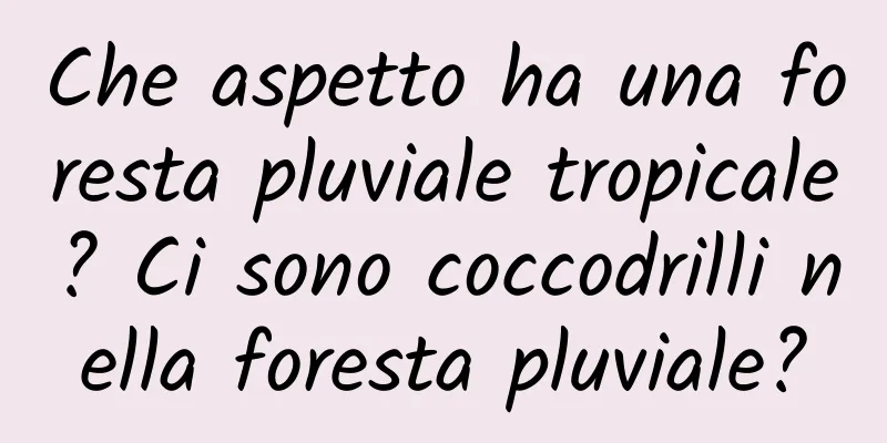 Che aspetto ha una foresta pluviale tropicale? Ci sono coccodrilli nella foresta pluviale?