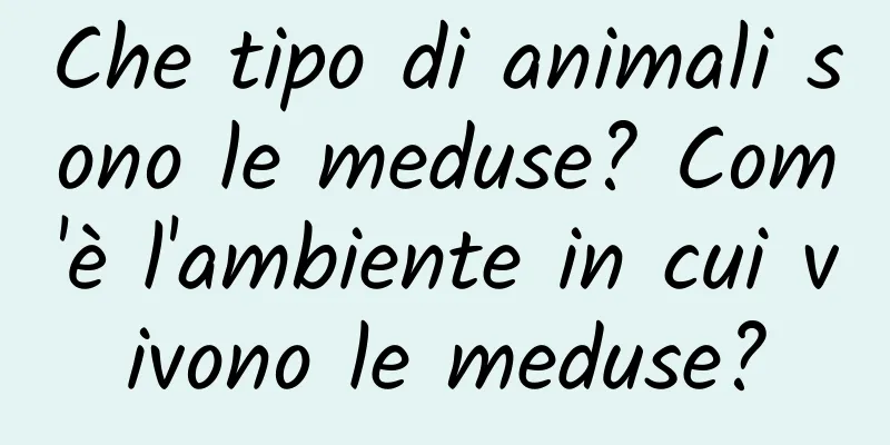 Che tipo di animali sono le meduse? Com'è l'ambiente in cui vivono le meduse?