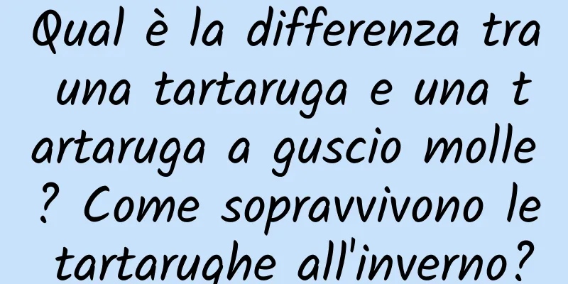 Qual è la differenza tra una tartaruga e una tartaruga a guscio molle? Come sopravvivono le tartarughe all'inverno?
