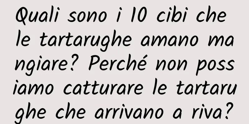 Quali sono i 10 cibi che le tartarughe amano mangiare? Perché non possiamo catturare le tartarughe che arrivano a riva?