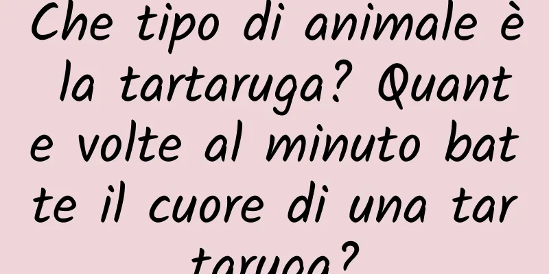 Che tipo di animale è la tartaruga? Quante volte al minuto batte il cuore di una tartaruga?