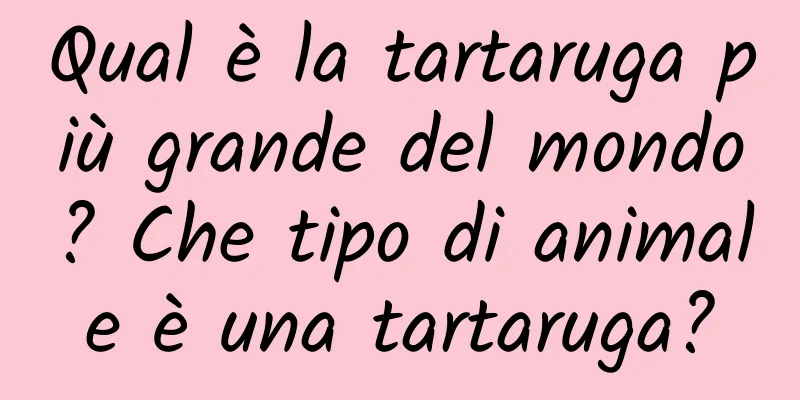 Qual è la tartaruga più grande del mondo? Che tipo di animale è una tartaruga?