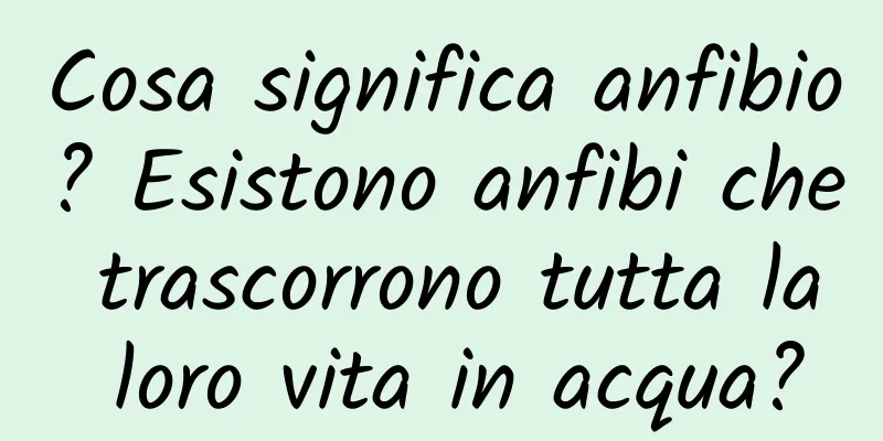 Cosa significa anfibio? Esistono anfibi che trascorrono tutta la loro vita in acqua?