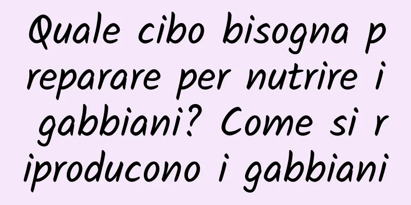 Quale cibo bisogna preparare per nutrire i gabbiani? Come si riproducono i gabbiani