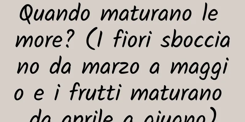 Quando maturano le more? (I fiori sbocciano da marzo a maggio e i frutti maturano da aprile a giugno)